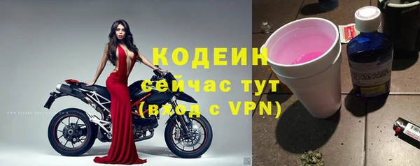 прущий лед Пестово