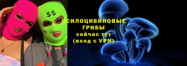 прущий лед Пестово