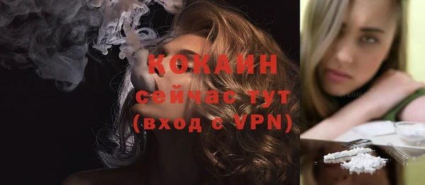 прущий лед Пестово