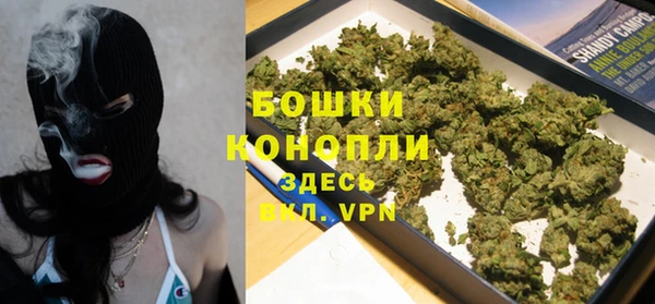 прущие грибы Сатка