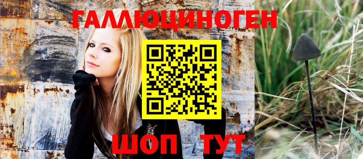 Псилоцибиновые грибы Cubensis  где продают   Шарыпово 