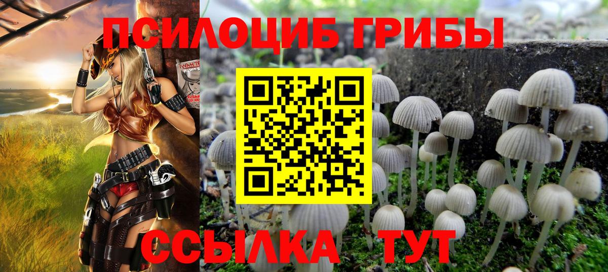 Галлюциногенные грибы Magic Shrooms Шарыпово