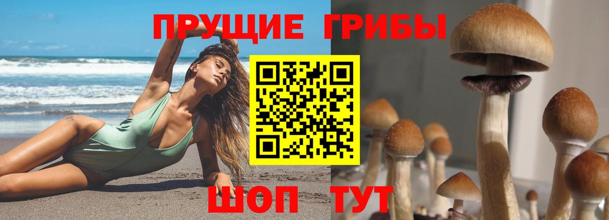 Галлюциногенные грибы Magic Shrooms  Вход с VPN  Шарыпово 